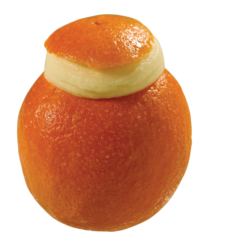 Bindi Arancia Ripieno – Orange Sorbet in Natural Orange Shell per 12