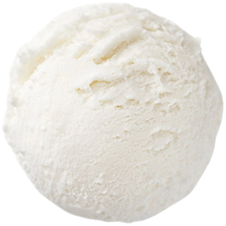 Bindi Coconut Sorbetto – 1.24 Gallon Tub