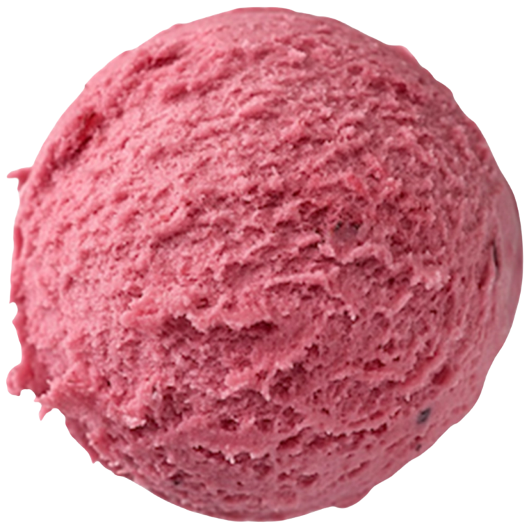 Bindi Forest Berry Sorbetto – 1.24 Gallon Tub