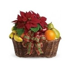 Christmas Fruit and Poinsettia Basket