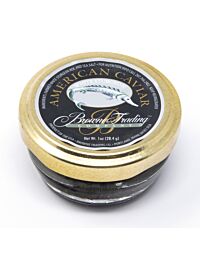 American Sturgeon Caviar 1 oz