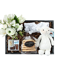 Newborn Baby Gift Basket Denver Delivery