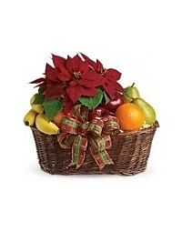 Christmas Fruit and Poinsettia Basket