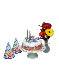 Denver Colorado Birthday Cake with Flowers