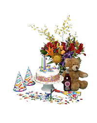 Denver Large Birthday Bash 
