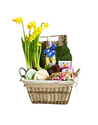 Easter Chocolate and plant Denver delivery