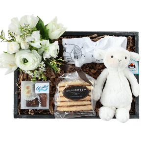 Newborn Baby Gift Basket Denver Delivery