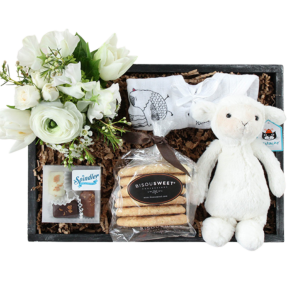 Newborn Baby Gift Basket Denver Delivery