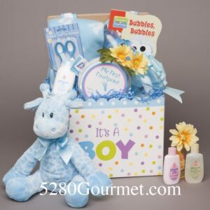 Baby Boy Basket