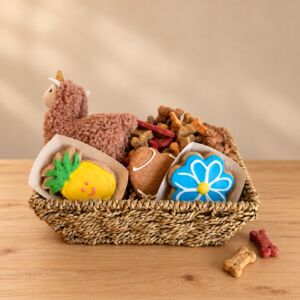 Tail Wagger dog gift basket with a plush toy, three iced dog cookies, and dog biscuits in a woven basket