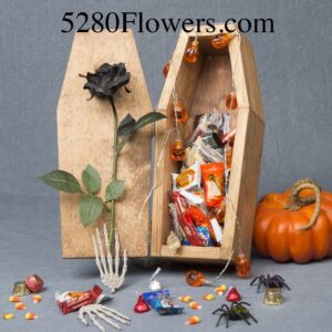 Halloween Coffin with candy and a black silk rose