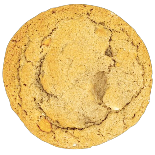 Gnarly Horchata Cinnamon Breakfast Cookie