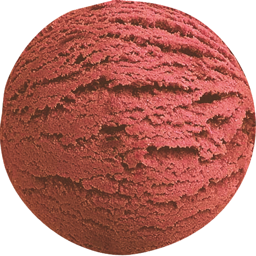 Bindi Raspberry Sorbetto – 1.24 Gallon Tub