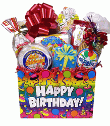 Large Birthday Bash for children