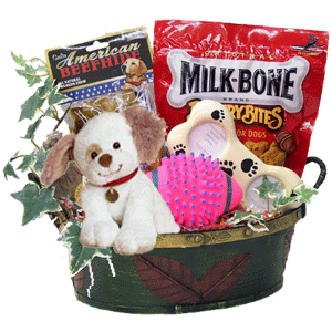 Doggie Treat and Toy Call the store for this basket , image not accurate