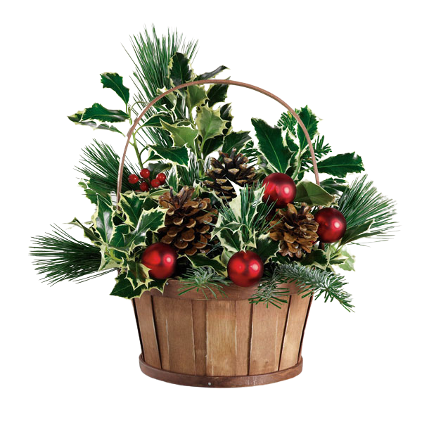 Christmas natural greens and holly arrangement